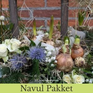 Natuurlijke Lente Tuin - Navul Pakket - Afbeelding 4