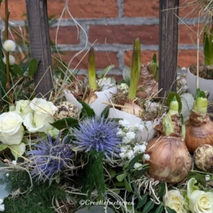 Natuurlijke Lente Tuin - Afbeelding 2