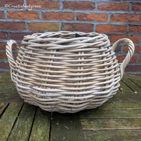 Rotan Mand