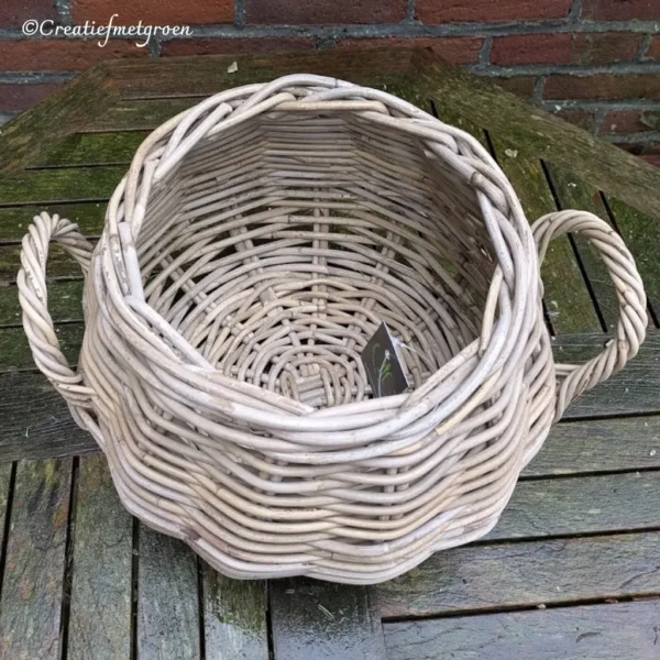 Rotan Mand