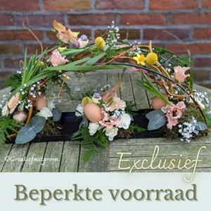 Lente Boog - Afbeelding 1
